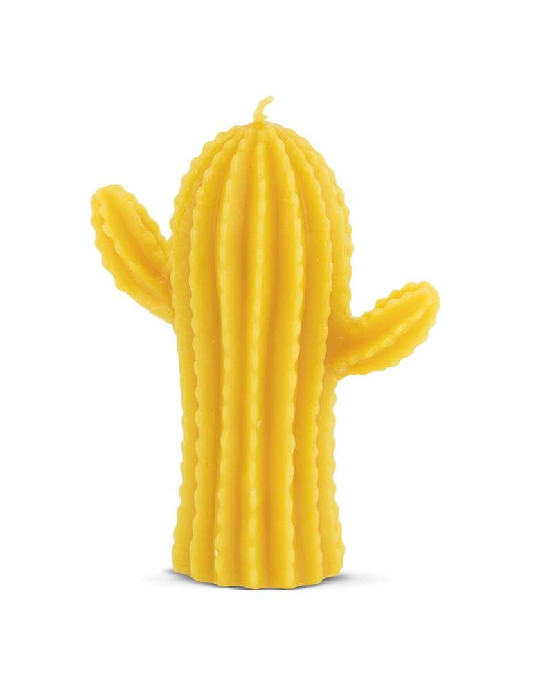 53022 Silikongießform Kaktus - FS526 – Bild 1