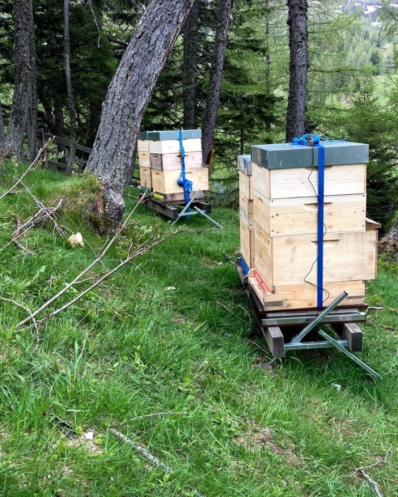 beutenständer Beutenständer für Bienenbeuten