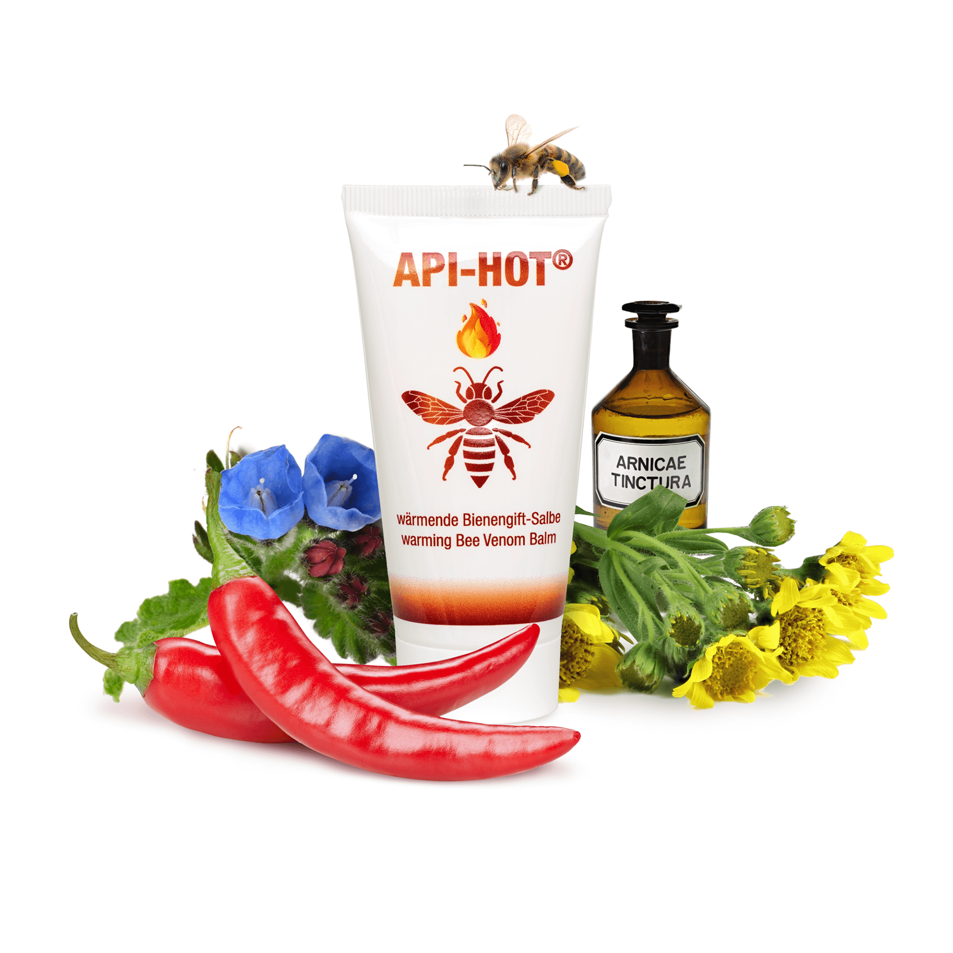 API-HOT Klassik – Tube mit Inhaltsstoffen API-HOT wärmende Bienengift-Salbe 50ml